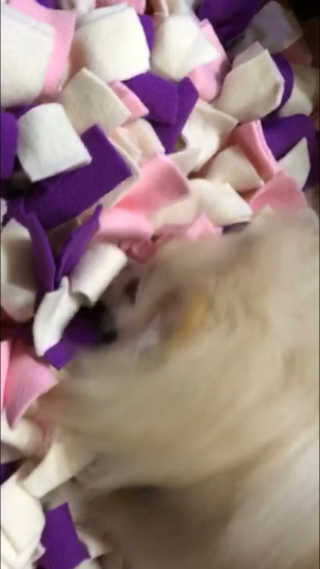 몽숭꾸님이 올린 리뷰 사진 3