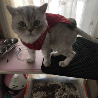 단발소녀님이 올린 리뷰 사진 4