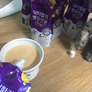 닥터할리펫밀크 8종 — 5점을 준 리뷰어가 2018년 9월 올린 사용 사진
