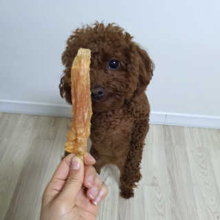 봄찌님이 올린 리뷰 사진 1