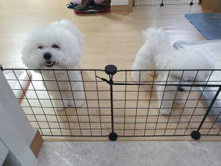 sooing님이 올린 리뷰 사진 1
