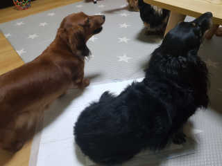 주짱님이 올린 리뷰 사진 4