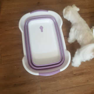 뽀오오옹님이 올린 리뷰 사진 3
