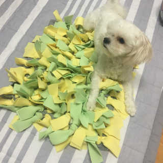 가닝님이 올린 리뷰 사진 4