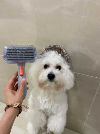 때나님이 올린 리뷰 사진 2