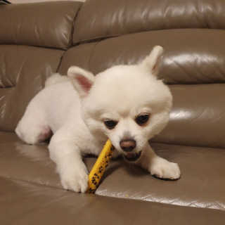 a_yom2님이 올린 리뷰 사진 2