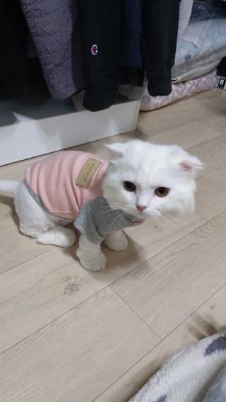 하나마리님이 올린 리뷰 사진 3