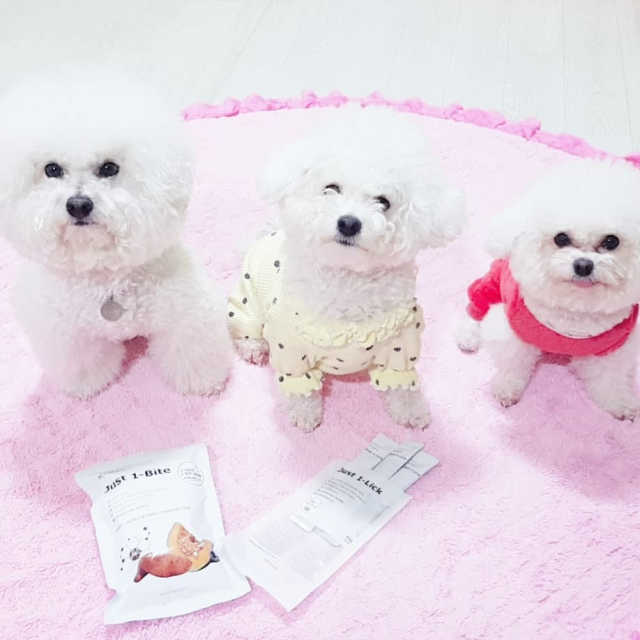 [펫토리아] 한입뚝딱 바이트 + 짜먹는 한입뚝딱 SET 리뷰 사진