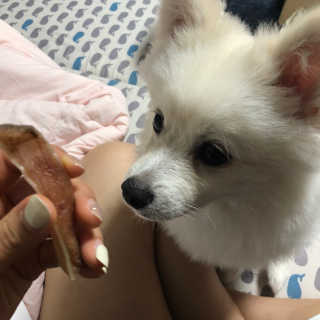 챠우쁀쁀님이 올린 리뷰 사진 2