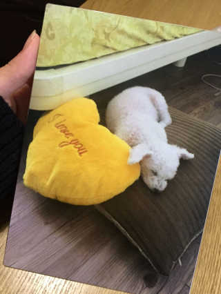흠흠님이 올린 리뷰 사진 2