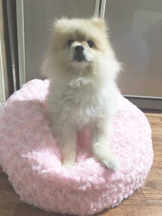 zio님이 올린 리뷰 사진 1