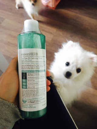 나영이님이 올린 리뷰 사진 1