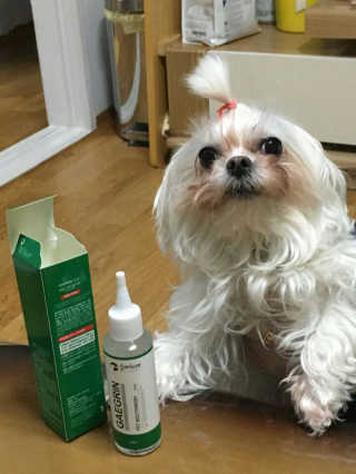 다촵촵촵님이 올린 리뷰 사진 4