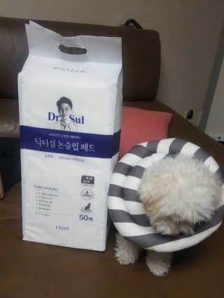 찐멍멍이님이 올린 리뷰 사진 2