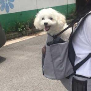 은엘리님이 올린 리뷰 사진 2