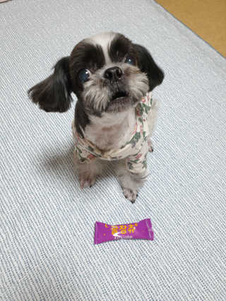 몽몽실님이 올린 리뷰 사진 1