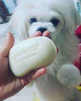 아토사랑이맘님이 올린 리뷰 사진 2
