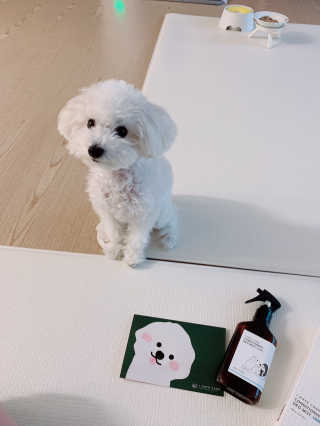 Ella님이 올린 리뷰 사진 3
