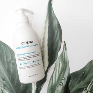 코에나샴푸 500ml — 5점을 준 리뷰어가 2019년 7월 올린 사용 사진