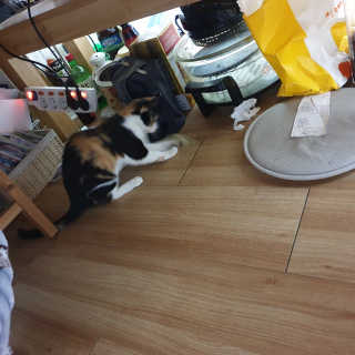 현뚜님이 올린 리뷰 사진 2