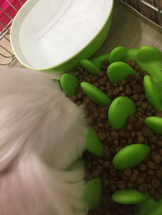 홍지윤님이 올린 리뷰 사진 2