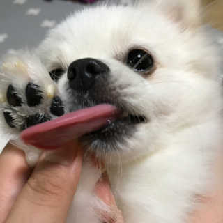 박수진님이 올린 리뷰 사진 1