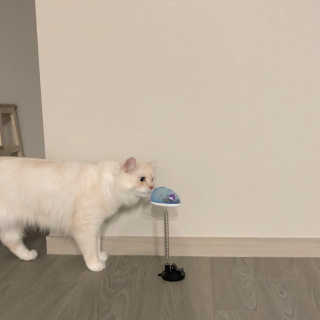 다용블리님이 올린 리뷰 사진 2
