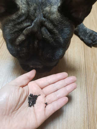 탱크돌콩님이 올린 리뷰 사진 3