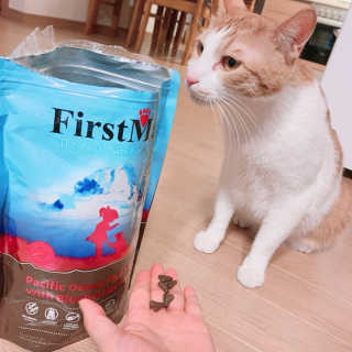은지님이 올린 리뷰 사진 3