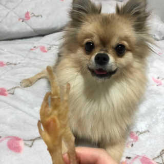 Ariel님이 올린 리뷰 사진 2
