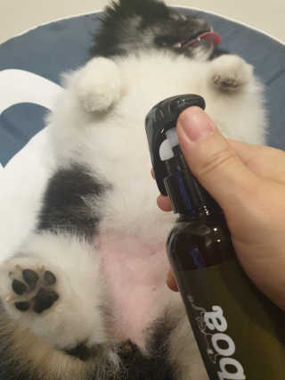 몽실맘님이 올린 리뷰 사진 3