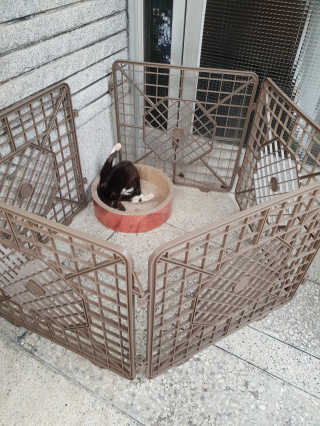 흐큑흐큑님이 올린 리뷰 사진 2