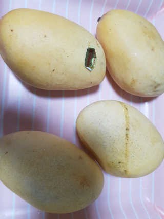 소피마르소님이 올린 리뷰 사진 2