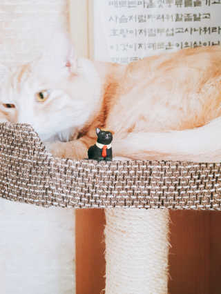 Cupe님이 올린 리뷰 사진 2