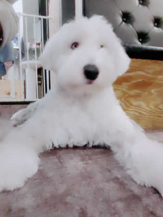 변혜림님이 올린 리뷰 사진 3
