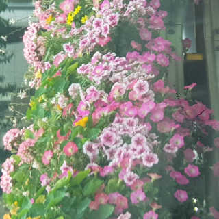emma님이 올린 리뷰 사진 3
