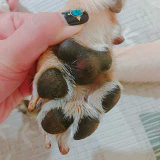 유은경님이 올린 리뷰 사진 2