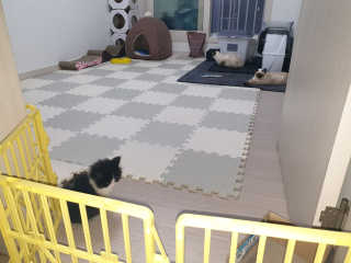 진경님이 올린 리뷰 사진 3