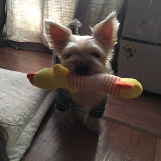 아영이님이 올린 리뷰 사진 3