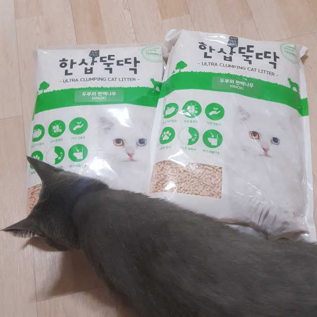 [펫토리아] BEST 고양이두부모래 6L 한삽뚝딱 리뷰 사진