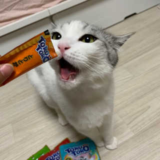 나니님이 올린 리뷰 사진 1
