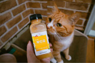 늘봄냥님이 올린 리뷰 사진 1