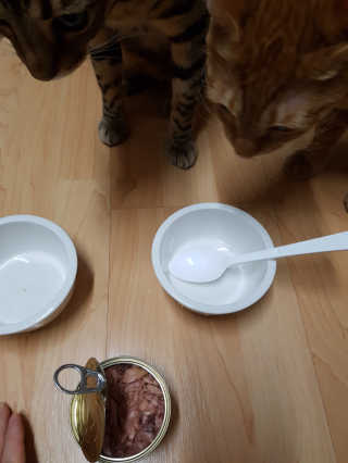 김진영님이 올린 리뷰 사진 2
