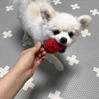 박수진님이 올린 리뷰 사진 1
