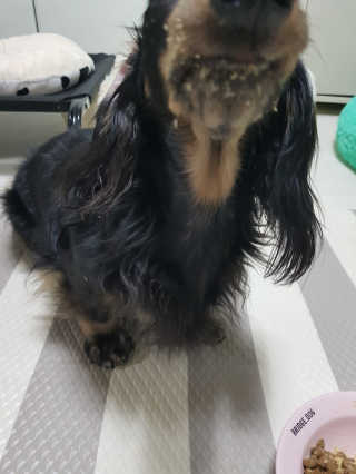 주짱님이 올린 리뷰 사진 3