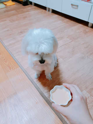 김희수님이 올린 리뷰 사진 2