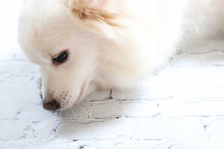 MIMI님이 올린 리뷰 사진 1
