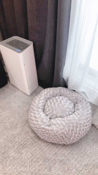 모모님이 올린 리뷰 사진 2