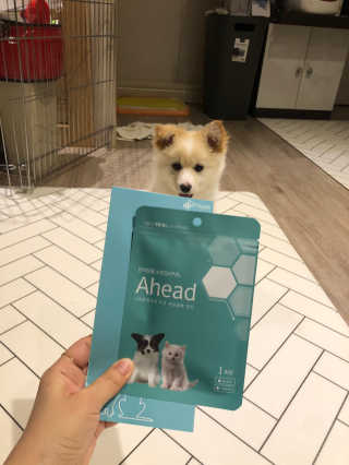 뷰기님이 올린 리뷰 사진 1