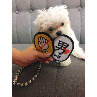WoonyLee님이 올린 리뷰 사진 1